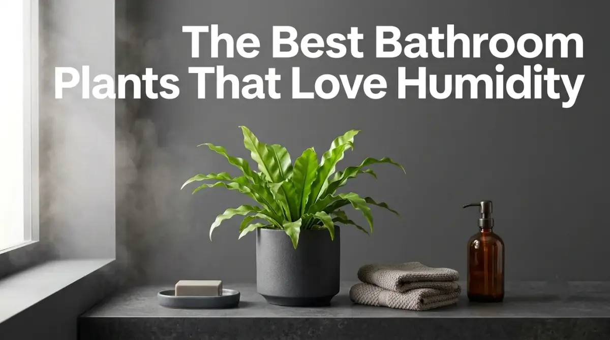 a lush green plant on a bright bathroom shelf near a window, a faint hint of steam