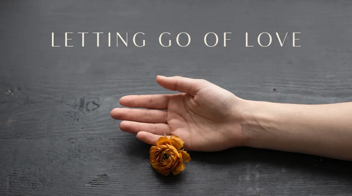 an open hand releasing a single dried flower into soft light