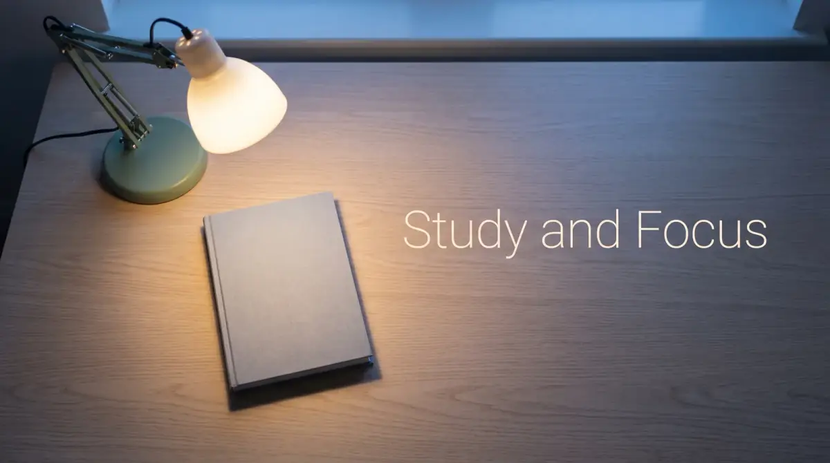 a single book under a warm lamp on a cleared, calm desk